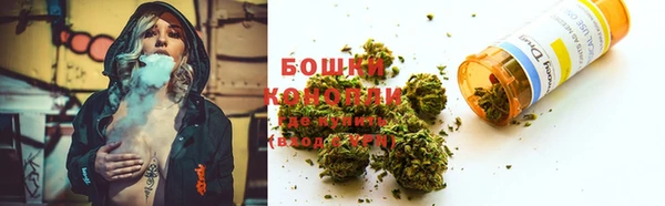кокс Нея