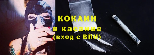 индика Навашино