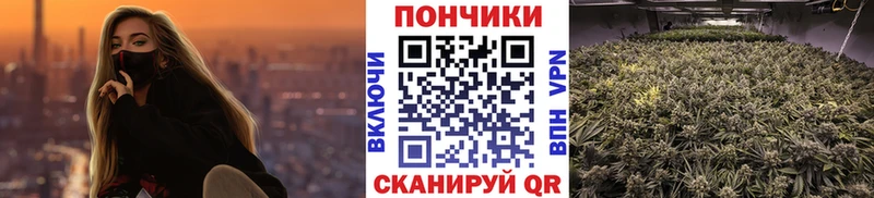 Канабис AK-47  даркнет телеграм  Кораблино  цена наркотик 